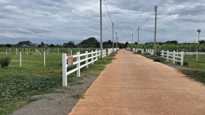 ที่ดินโฉนด ผ่อนได้ถึง 84 งวด เนื้อที่ 1 ไร่ วิวเขาล้อม