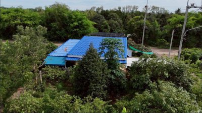 บ้านและสวนผสม พร้อมเจาะบาดาลสำหรับการเกษตร