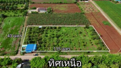 บ้านและสวนผสม พร้อมเจาะบาดาลสำหรับการเกษตร