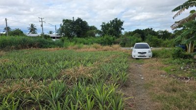 ที่ดินโฉนด เนื้อที่ 4 ไร่ 3 งาน บ้านคา ติดคลองท่าเคย วิวเขา