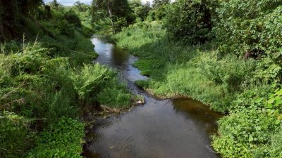 ที่ดินโฉนด เนื้อที่ 4 ไร่ 3 งาน บ้านคา ติดคลองท่าเคย วิวเขา