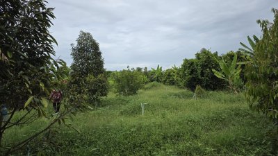 บ้านและสวนผสม พร้อมเจาะบาดาลสำหรับการเกษตร