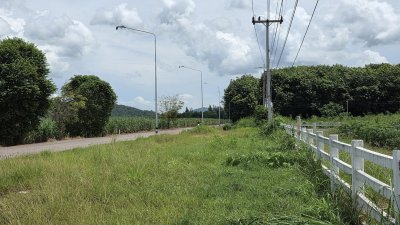 ที่ดินติดถนนทางหลวง 4036 ทำเลดี เหมาะการค้าขาย ทำธุรกิจ ที่ดินติดถนนทางหลวง 4036 ทำเลดี เหมาะการค้าขาย ทำธุรกิจ