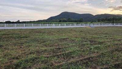 ที่ดินวิวเขาล้อม โฉนด 300 ตร.วา ต.หนองกวาง อ.โพธาราม จ.ราชบุรี