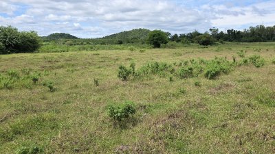 ที่ดินโฉนดริมเขา ต.หินกอง อ.เมือง จ.ราชบุรี ไร่ละ 290,000.-