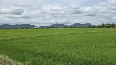 ที่ดินติดถนนเรียบคลองชลประทาน 8 ไร่ 3 งาน 61 ตร.วา