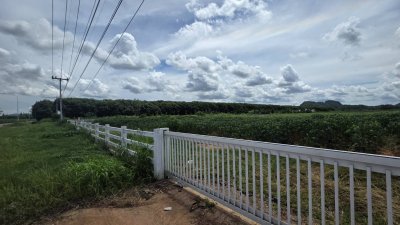 ที่ดินติดถนนทางหลวง 4036 ทำเลดี เหมาะการค้าขาย ทำธุรกิจ ที่ดินติดถนนทางหลวง 4036 ทำเลดี เหมาะการค้าขาย ทำธุรกิจ