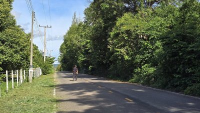 ที่ดินโฉนดสวนผึ้ง ติดถนนลาดยาง มีไฟฟ้า น้ำประปา