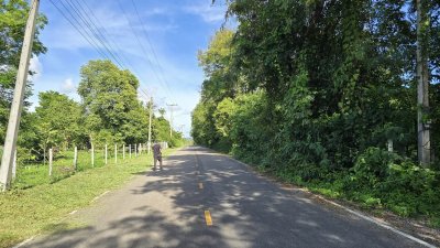 ที่ดินโฉนดสวนผึ้ง ติดถนนลาดยาง มีไฟฟ้า น้ำประปา