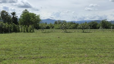 ที่ดินโฉนดสวนผึ้ง ใกล้ตลาดป่าหวาย, รพ.สวนผึ้ง