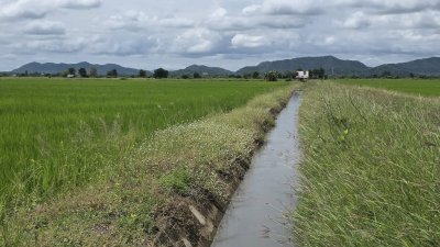 ที่ดินติดถนนเรียบคลองชลประทาน 8 ไร่ 3 งาน 61 ตร.วา