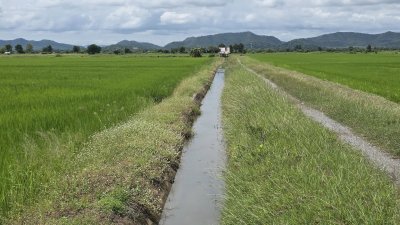 ที่ดินติดถนนเรียบคลองชลประทาน 8 ไร่ 3 งาน 61 ตร.วา