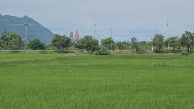 ที่ดินติดถนนเรียบคลองชลประทาน 8 ไร่ 3 งาน 61 ตร.วา ที่ดินติดถนนเรียบคลองชลประทาน 8 ไร่ 3 งาน 61 ตร.วา