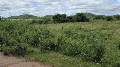 ที่ดินโฉนดริมเขา ต.หินกอง อ.เมือง จ.ราชบุรี ไร่ละ 290,000.- ที่ดินโฉนดริมเขา ต.หินกอง อ.เมือง จ.ราชบุรี ไร่ละ 290,000.-