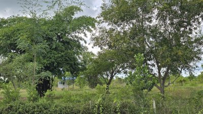 บ้านริมคลองชลประทาน 2 ไร่กว่า ต.อ่างหิน อ.ปากท่อ จ.ราชบุรี บ้านริมคลองชลประทาน 2 ไร่กว่า ต.อ่างหิน อ.ปากท่อ จ.ราชบุรี