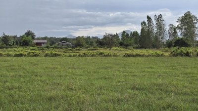 ที่ดินริมคลองชลประทาน 7 ไร่ครึ่ง ขายไร่ละ 250,000 บาท ขายถูกไม่เอามาก ที่ดินริมคลองชลประทาน 7 ไร่ครึ่ง ขายไร่ละ 250,000 บาท ขายถูกไม่เอามาก