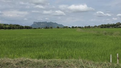 ที่ดินติดถนนเรียบคลองชลประทาน 8 ไร่ 3 งาน 61 ตร.วา ที่ดินติดถนนเรียบคลองชลประทาน 8 ไร่ 3 งาน 61 ตร.วา