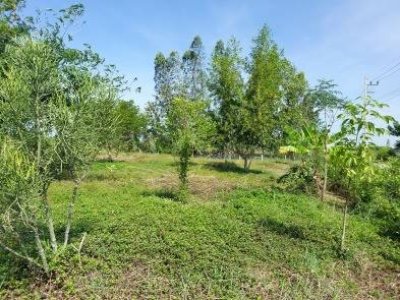 บ้านริมคลองชลประทาน 2 ไร่กว่า ต.อ่างหิน อ.ปากท่อ จ.ราชบุรี บ้านริมคลองชลประทาน 2 ไร่กว่า ต.อ่างหิน อ.ปากท่อ จ.ราชบุรี