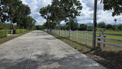 ที่ดินโฉนดสวนผึ้ง 358 ตร.วา น้ำประปาภูมิภาค ไฟฟ้า ถนนคอนกรีต