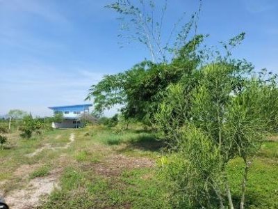 บ้านริมคลองชลประทาน 2 ไร่กว่า ต.อ่างหิน อ.ปากท่อ จ.ราชบุรี บ้านริมคลองชลประทาน 2 ไร่กว่า ต.อ่างหิน อ.ปากท่อ จ.ราชบุรี