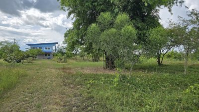 บ้านริมคลองชลประทาน 2 ไร่กว่า ต.อ่างหิน อ.ปากท่อ จ.ราชบุรี บ้านริมคลองชลประทาน 2 ไร่กว่า ต.อ่างหิน อ.ปากท่อ จ.ราชบุรี