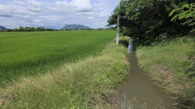 ที่ดินติดถนนเรียบคลองชลประทาน 8 ไร่ 3 งาน 61 ตร.วา ที่ดินติดถนนเรียบคลองชลประทาน 8 ไร่ 3 งาน 61 ตร.วา