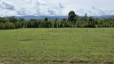 ที่ดินโฉนดสวนผึ้ง 358 ตร.วา น้ำประปาภูมิภาค ไฟฟ้า ถนนคอนกรีต ที่ดินโฉนดสวนผึ้ง 358 ตร.วา น้ำประปาภูมิภาค ไฟฟ้า ถนนคอนกรีต