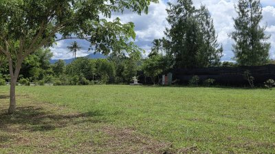 ที่ดินโฉนดสวนผึ้ง ใกล้ตลาดป่าหวาย, รพ.สวนผึ้ง ที่ดินโฉนดสวนผึ้ง ใกล้ตลาดป่าหวาย, รพ.สวนผึ้ง