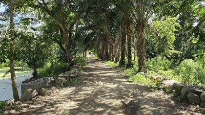 ที่ดินพร้อมบ้าน 3 หลัง ติดถนนหลักสวนผึ้ง ที่ดินโฉนด พื้นที่สวนป่า สงบ ร่มรื่น ที่ดินพร้อมบ้าน 3 หลัง ติดถนนหลักสวนผึ้ง ที่ดินโฉนด พื้นที่สวนป่า สงบ ร่มรื่น