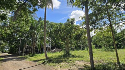 ที่ดินพร้อมบ้าน 3 หลัง ติดถนนหลักสวนผึ้ง ที่ดินโฉนด พื้นที่สวนป่า สงบ ร่มรื่น