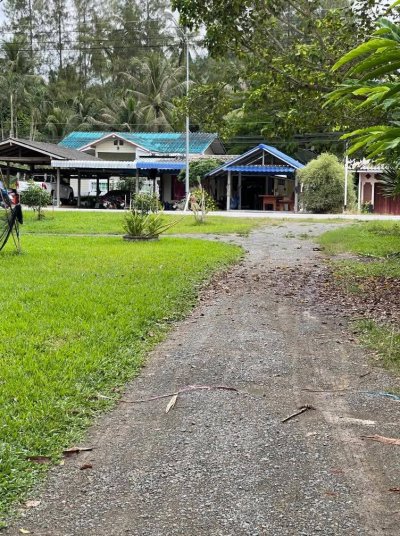 ขายสวนมะพร้าวนํ้าหอม ปลูกทุเรียนแซมไว้ เอกสารโฉนดครุฑแดง ขายสวนมะพร้าวนํ้าหอม ปลูกทุเรียนแซมไว้ เอกสารโฉนดครุฑแดง