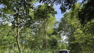 ที่ดินพร้อมบ้าน 3 หลัง ติดถนนหลักสวนผึ้ง ที่ดินโฉนด พื้นที่สวนป่า สงบ ร่มรื่น