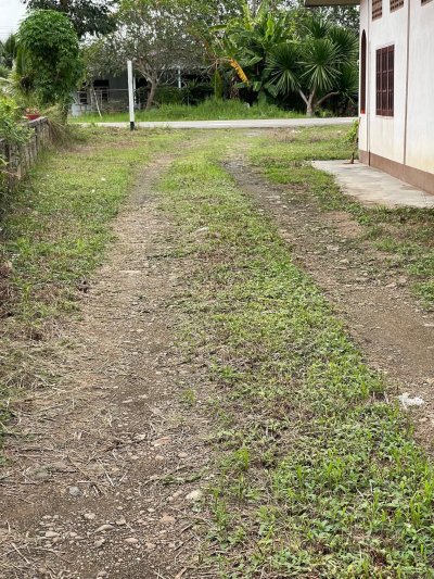 ขายบ้านสวน ปลูกทุเรียนเก็บผลได้แล้ว 6 ไร่ 80 ตร.วา