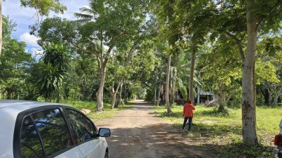 ที่ดินพร้อมบ้าน 3 หลัง ติดถนนหลักสวนผึ้ง ที่ดินโฉนด พื้นที่สวนป่า สงบ ร่มรื่น