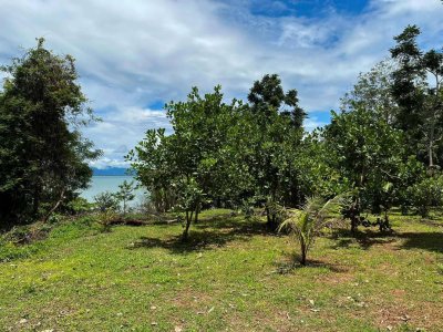 ขายที่ดิน sea view เกาะหมากน้อย 1 ไร่ 63 ตร.วา ขายที่ดิน sea view เกาะหมากน้อย 1 ไร่ 63 ตร.วา