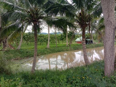 ขายบ้านสวน วิวภูเขา 7 ไร่ 3 งาน 89 ตร.วา