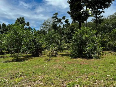 ขายที่ดิน sea view เกาะหมากน้อย 1 ไร่ 63 ตร.วา