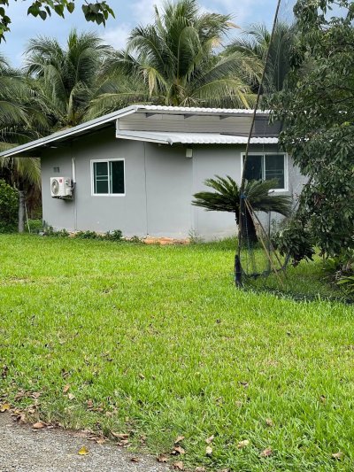 ขายสวนมะพร้าวนํ้าหอม ปลูกทุเรียนแซมไว้ เอกสารโฉนดครุฑแดง ขายสวนมะพร้าวนํ้าหอม ปลูกทุเรียนแซมไว้ เอกสารโฉนดครุฑแดง