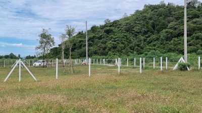 ที่ดินโฉนด วิวเขาล้อม สด-ผ่อนต.หนองกวาง อ.โพธาราม จ.ราชบุรี ที่ดินโฉนด วิวเขาล้อม สด-ผ่อนต.หนองกวาง อ.โพธาราม จ.ราชบุรี