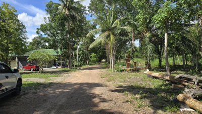 ที่ดินพร้อมบ้าน 3 หลัง ติดถนนหลักสวนผึ้ง ที่ดินโฉนด พื้นที่สวนป่า สงบ ร่มรื่น