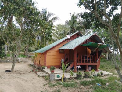 ขายบ้านสวน วิวภูเขา 7 ไร่ 3 งาน 89 ตร.วา ขายบ้านสวน วิวภูเขา 7 ไร่ 3 งาน 89 ตร.วา