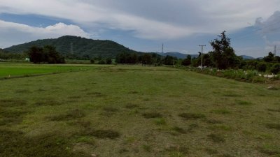 ที่ดินโฉนด หน้ากว้างติดถนนคอนกรีตเนื้อที่ 4 ไร่ ไร่ละ 350,000 บาท