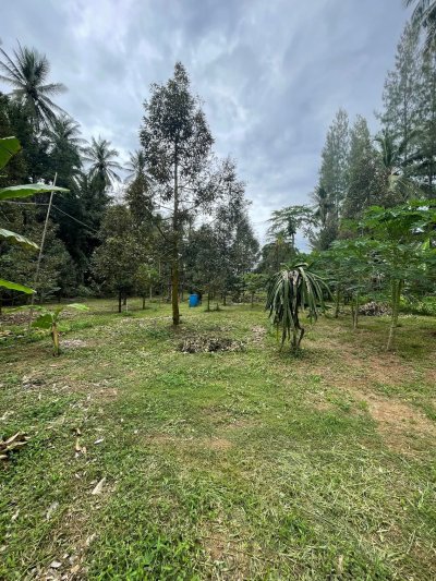ขายบ้านสวน ปลูกทุเรียนเก็บผลได้แล้ว 6 ไร่ 80 ตร.วา ขายบ้านสวน ปลูกทุเรียนเก็บผลได้แล้ว 6 ไร่ 80 ตร.วา