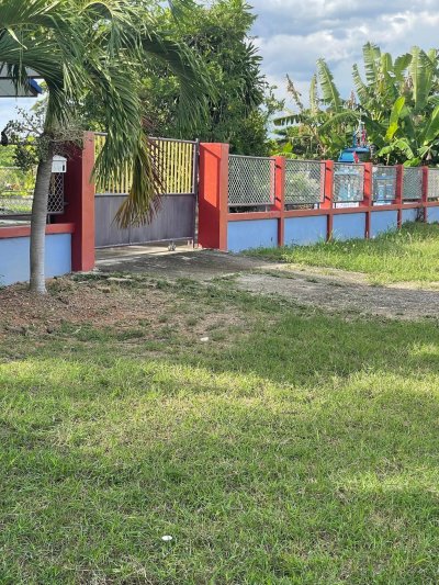 ขายบ้านสวนพร้อมที่ดิน 5 ไร่ 3 งาน 08 ตร.วา ขายบ้านสวนพร้อมที่ดิน 5 ไร่ 3 งาน 08 ตร.วา