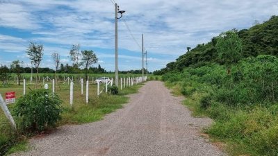 ที่ดินโฉนด วิวเขาล้อม สด-ผ่อนต.หนองกวาง อ.โพธาราม จ.ราชบุรี ที่ดินโฉนด วิวเขาล้อม สด-ผ่อนต.หนองกวาง อ.โพธาราม จ.ราชบุรี