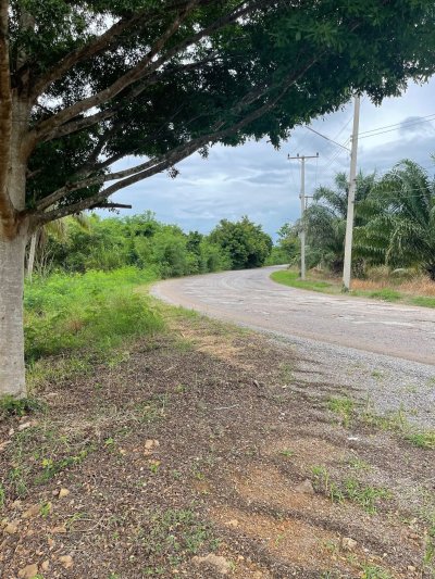 ขายบ้านสวน วิวภูเขา 7 ไร่ 3 งาน 89 ตร.วา