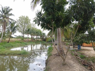 ขายบ้านสวน วิวภูเขา 7 ไร่ 3 งาน 89 ตร.วา ขายบ้านสวน วิวภูเขา 7 ไร่ 3 งาน 89 ตร.วา