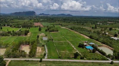 ที่ดินติดถนนลาดยางปรับถมพื้นที่ปลูกสร้างบ้าน ไร่ละ 320,000 ที่ดินติดถนนลาดยางปรับถมพื้นที่ปลูกสร้างบ้าน ไร่ละ 320,000