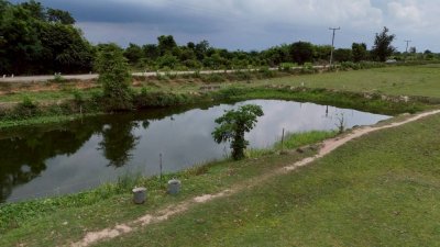 ที่ดินโฉนด หน้ากว้างติดถนนคอนกรีตเนื้อที่ 4 ไร่ ไร่ละ 350,000 บาท ที่ดินโฉนด หน้ากว้างติดถนนคอนกรีตเนื้อที่ 4 ไร่ ไร่ละ 350,000 บาท