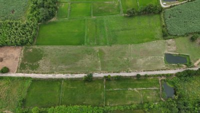 ที่ดินโฉนด หน้ากว้างติดถนนคอนกรีตเนื้อที่ 4 ไร่ ไร่ละ 350,000 บาท ที่ดินโฉนด หน้ากว้างติดถนนคอนกรีตเนื้อที่ 4 ไร่ ไร่ละ 350,000 บาท